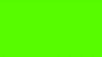 Streamme GIF
