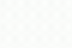 Madee GIF