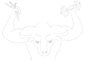 FitnessFarmerKing Sticker