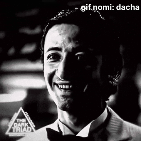 Dacha What GIF
