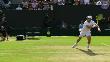 try my best fall GIF by Wimbledon