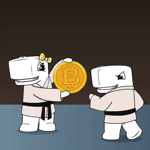 Crypto Bitcoin GIF by Ordinary Friends
