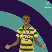 200.gif?cid=fc005b083a6cb196ac8ccfdd36513a0b0cf8cfed2d07a274&rid=200.gif&ct=g