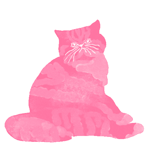 Cat Heart Sticker