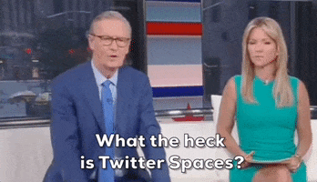 Fox News What The Heck GIF by GIPHY News