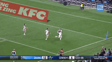 Nrl Sharks GIF