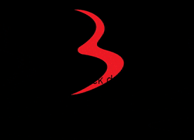 beiderbeck_designs GIF
