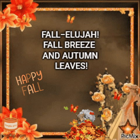 Fall GIF