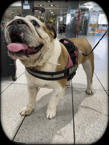 BUBACOMMUNICATION GIF