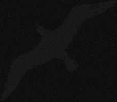 GIF by Niagara Parks