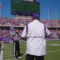 Go Frogs What GIF by TCU Football