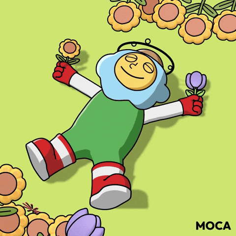 Happy Crypto GIF by Moca Network