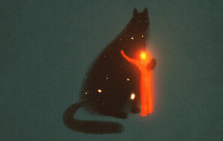 Cat Hug GIF by Daniel Barreto