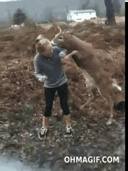 giphy.gif?cid=790b7611a3893e02fe10bb929b7566b01f3545fddc80b106&rid=giphy.gif
