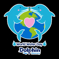 Water Day Heart GIF by Dolphin Discovery