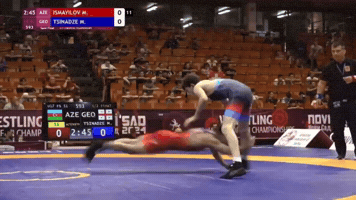 Wrestling Freestyle GIF