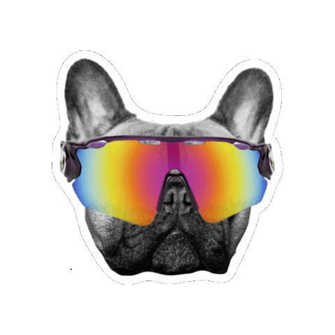 BYRAA Bodø Sticker