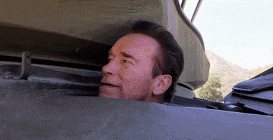 arnold schwarzenegger GIF