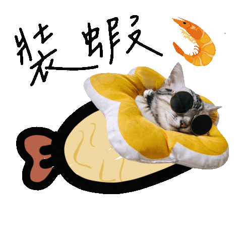 Cat 貓 Sticker