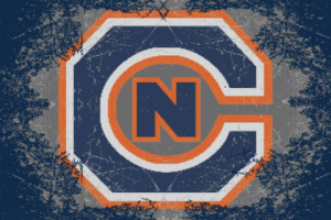 cnms18 GIF by Carson-Newman Athletics