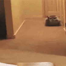 Yeixsbaba GIF