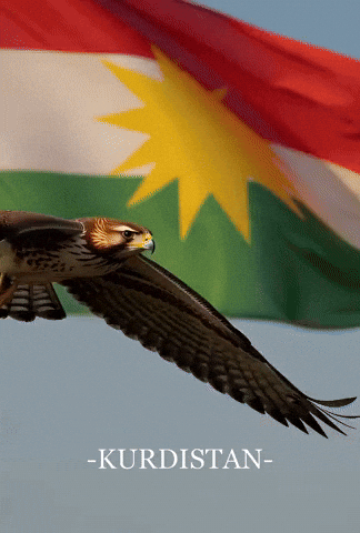 Flag GIF