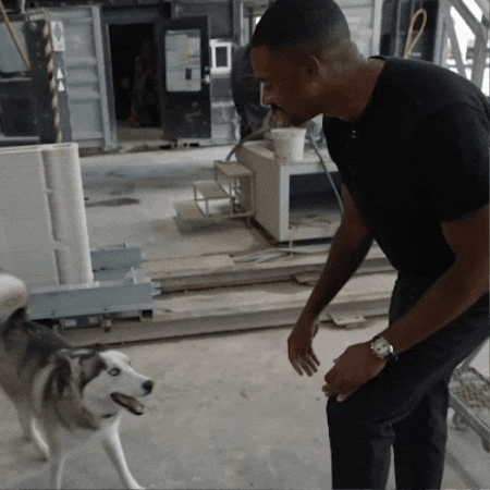 Happy Whats Up GIF