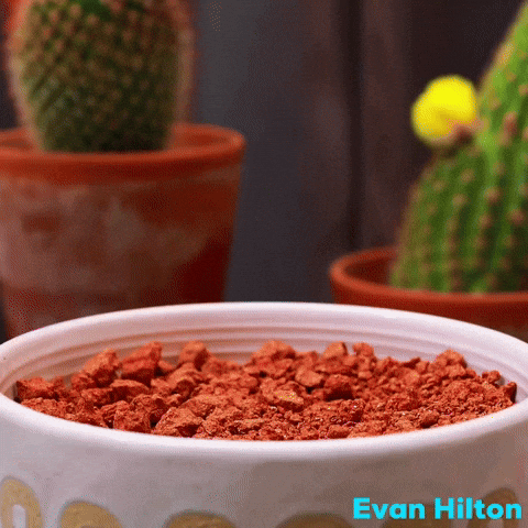 Sculpting Stop Motion GIF by Evan Hilton