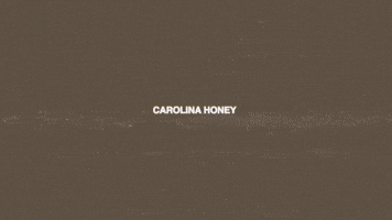 New Music Carolina GIF by Marcus King