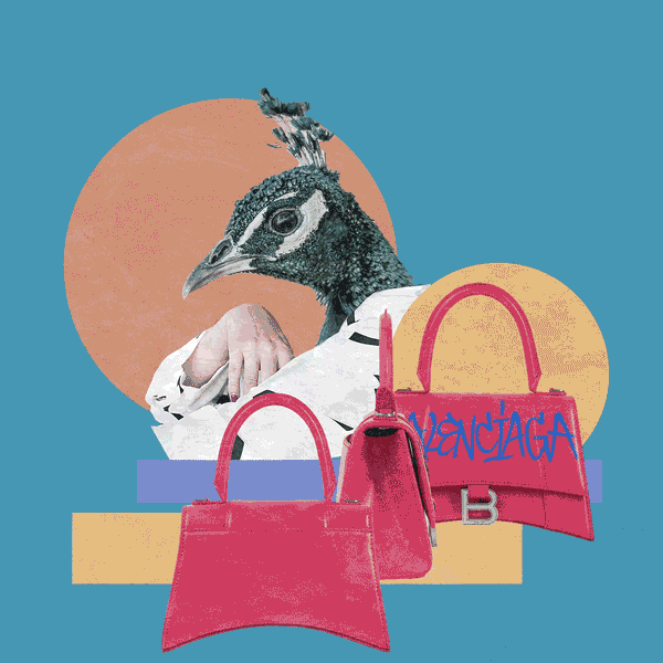 harshinijk fashion animal shopping bird GIF