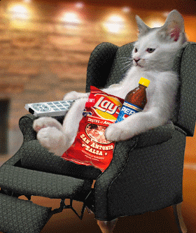 giphy.gif?cid=ecf05e4786074198e6f48e6bd0