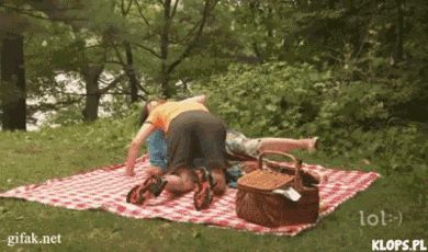 awkward picnic GIF