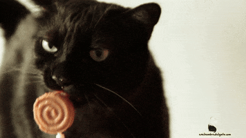 evasanmartin cats ice cream gatos helados GIF