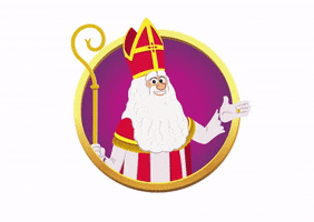 5 December Fun GIF by De Club van Sinterklaas