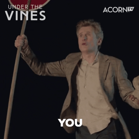 TV gif. Charles Edwards as Louis in Under the Vines holds a stop sign in the air and screams, “You shall not pass!”