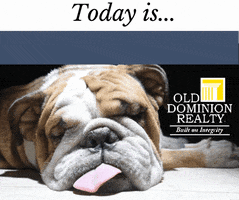 Real Estate Snow GIF by Old Dominion Realty