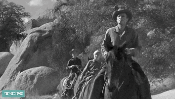 Black And White Film GIF by Turner Classic Movies