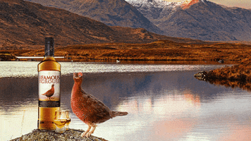 Rugby Gilbert GIF by The Famous Grouse