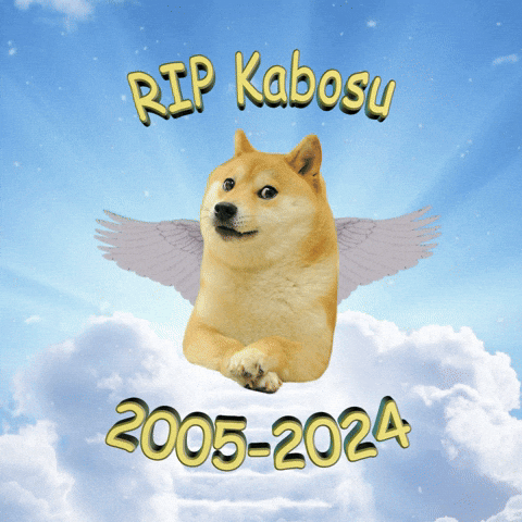 Rest In Peace Dog GIF by In Memoriam