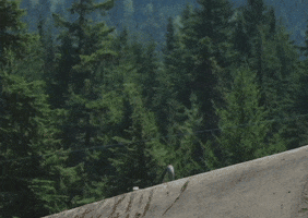 Mountain Bike Flip GIF by YT Industries