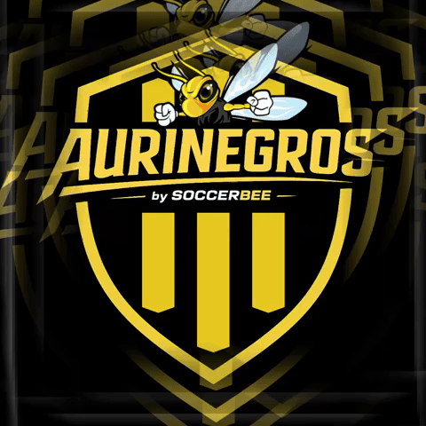 GIF by SoccerBEE