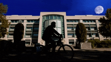 Shields Library University GIF by UC Davis