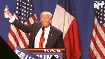 trump wtf GIF by NowThis 