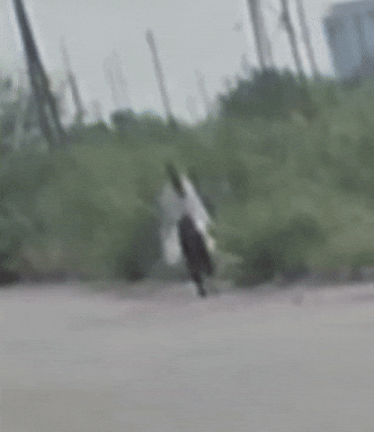 Real Hero GIF