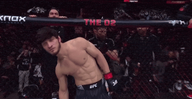 London Ufc GIF
