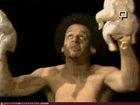 Screaming Chickens Gifs Get The Best Gif On Giphy Screaming Chickens Gifs Get The Best Gif On Giphy