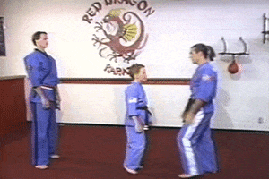karate push GIF