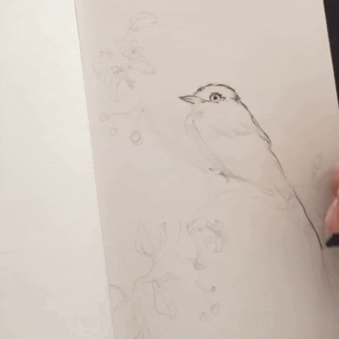 Drawing Bird GIF