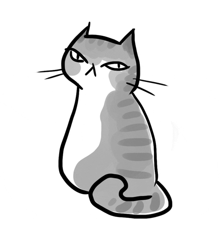 Tabby Cat GIF