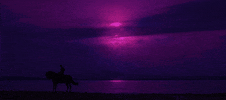 Beach Sun GIF by Soto Asa
